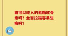 猫可以吃人的氨糖软骨素吗？金吉拉猫容易生病吗？