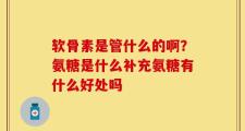 软骨素是管什么的啊？氨糖是什么补充氨糖有什么好处吗