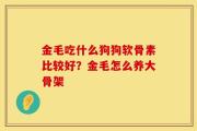 金毛吃什么狗狗软骨素比较好？金毛怎么养大骨架