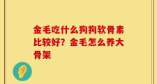 金毛吃什么狗狗软骨素比较好？金毛怎么养大骨架