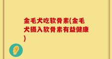 金毛犬吃软骨素(金毛犬摄入软骨素有益健康)