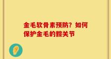 金毛软骨素预防？如何保护金毛的髋关节