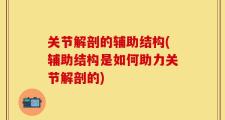 关节解剖的辅助结构(辅助结构是如何助力关节解剖的)