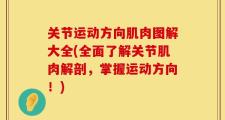 关节运动方向肌肉图解大全(全面了解关节肌肉解剖，掌握运动方向！)
