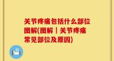 关节疼痛包括什么部位图解(图解｜关节疼痛常见部位及原因)