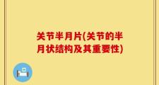 关节半月片(关节的半月状结构及其重要性)