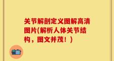 关节解剖定义图解高清图片(解析人体关节结构，图文并茂！)
