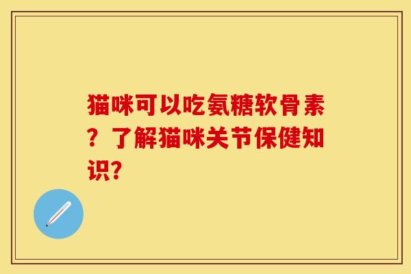 猫咪可以吃氨糖软骨素？了解猫咪关节保健知识？