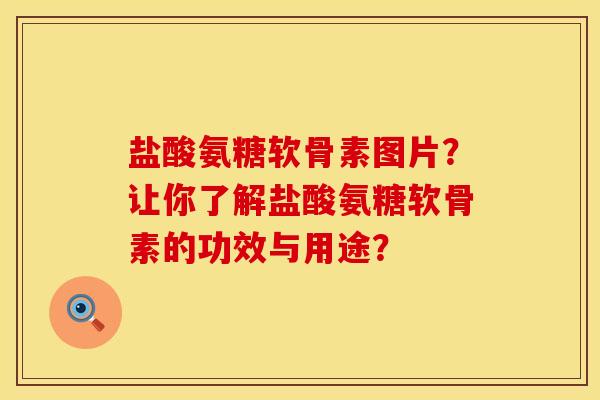 盐酸氨糖软骨素图片？让你了解盐酸氨糖软骨素的功效与用途？