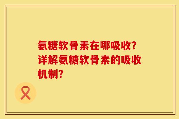 氨糖软骨素在哪吸收？详解氨糖软骨素的吸收机制？
