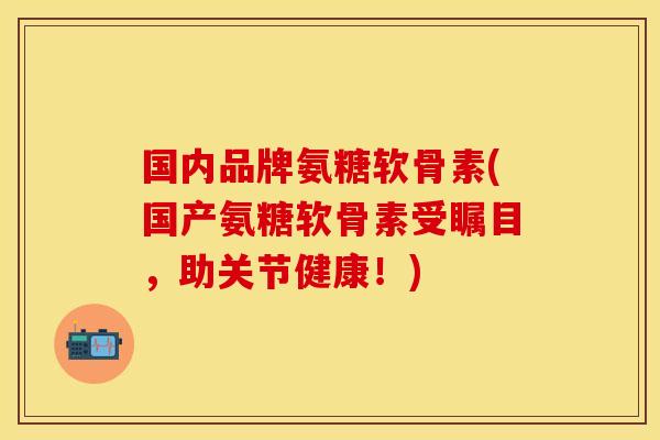 国内品牌氨糖软骨素(国产氨糖软骨素受瞩目，助关节健康！)