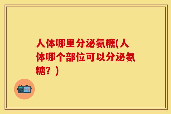 人体哪里分泌氨糖(人体哪个部位可以分泌氨糖？)