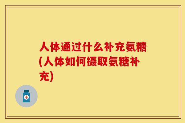 人体通过什么补充氨糖(人体如何摄取氨糖补充)