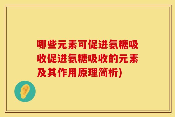哪些元素可促进氨糖吸收促进氨糖吸收的元素及其作用原理简析)
