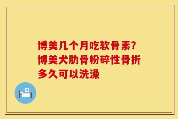 博美几个月吃软骨素？博美犬肋骨粉碎性多久可以洗澡