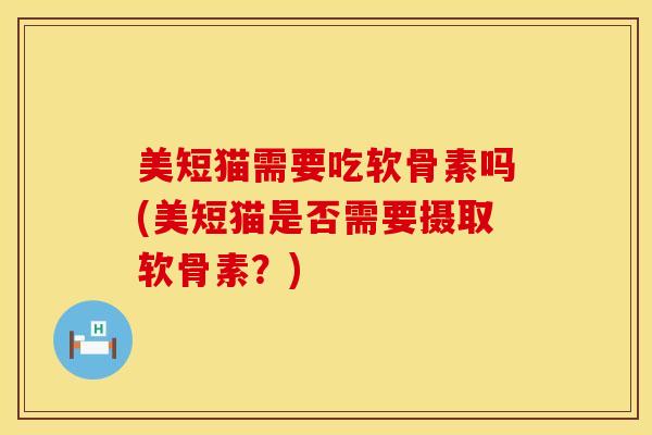 美短猫需要吃软骨素吗(美短猫是否需要摄取软骨素？)
