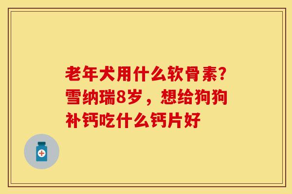 老年犬用什么软骨素？雪纳瑞8岁，想给狗狗补钙吃什么钙片好