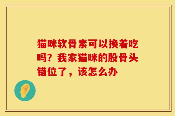 猫咪软骨素可以换着吃吗？我家猫咪的股骨头错位了，该怎么办