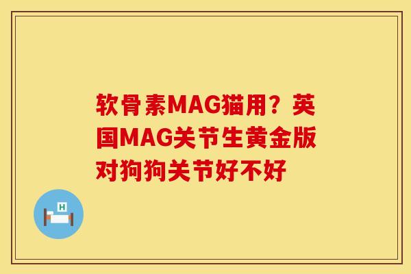 软骨素MAG猫用？英国MAG关节生黄金版对狗狗关节好不好