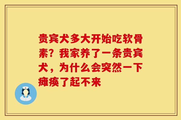 贵宾犬多大开始吃软骨素？我家养了一条贵宾犬，为什么会突然一下瘫痪了起不来