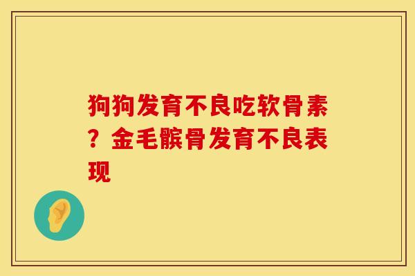 狗狗发育不良吃软骨素？金毛髌骨发育不良表现