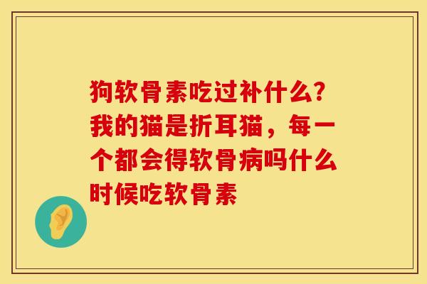狗软骨素吃过补什么？我的猫是折耳猫，每一个都会得软骨吗什么时候吃软骨素