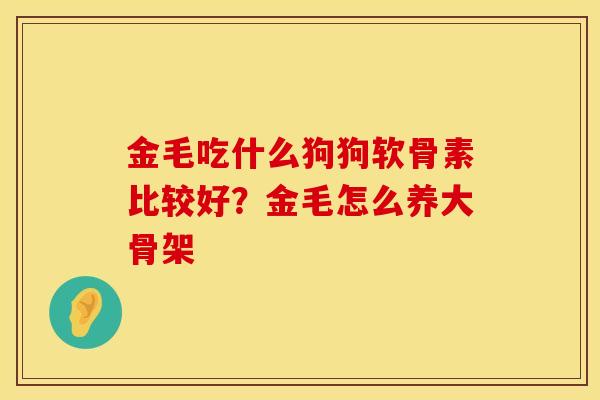 金毛吃什么狗狗软骨素比较好？金毛怎么养大骨架
