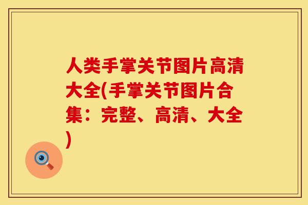 人类手掌关节图片高清大全(手掌关节图片合集：完整、高清、大全)