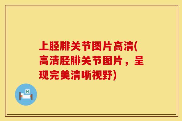 上胫腓关节图片高清(高清胫腓关节图片，呈现完美清晰视野)