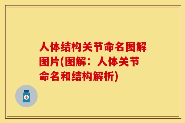 人体结构关节命名图解图片(图解：人体关节命名和结构解析)