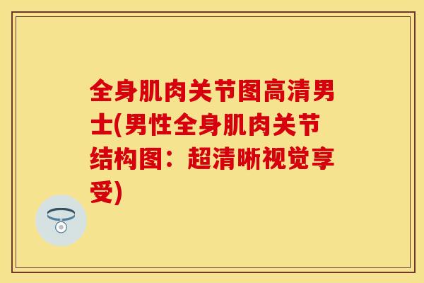 全身肌肉关节图高清男士(男性全身肌肉关节结构图：超清晰视觉享受)
