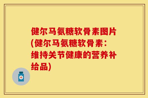 健尔马氨糖软骨素图片(健尔马氨糖软骨素：维持关节健康的营养补给品)