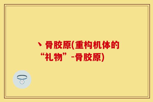 丶骨胶原(重构机体的“礼物”-骨胶原)