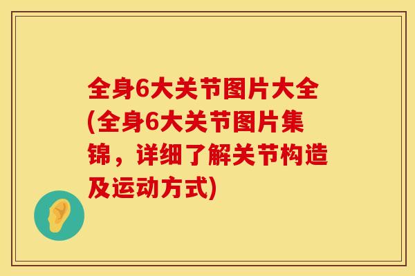 全身6大关节图片大全(全身6大关节图片集锦，详细了解关节构造及运动方式)