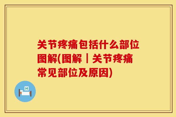 关节包括什么部位图解(图解｜关节常见部位及原因)