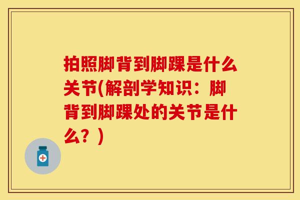拍照脚背到脚踝是什么关节(解剖学知识：脚背到脚踝处的关节是什么？)