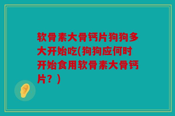 软骨素大骨钙片狗狗多大开始吃(狗狗应何时开始食用软骨素大骨钙片？)