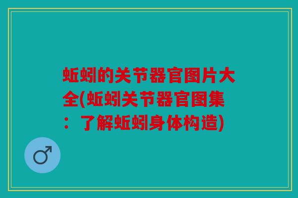 蚯蚓的关节器官图片大全(蚯蚓关节器官图集：了解蚯蚓身体构造)