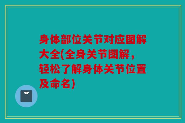 身体部位关节对应图解大全(全身关节图解，轻松了解身体关节位置及命名)