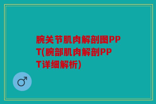 腕关节肌肉解剖图PPT(腕部肌肉解剖PPT详细解析)