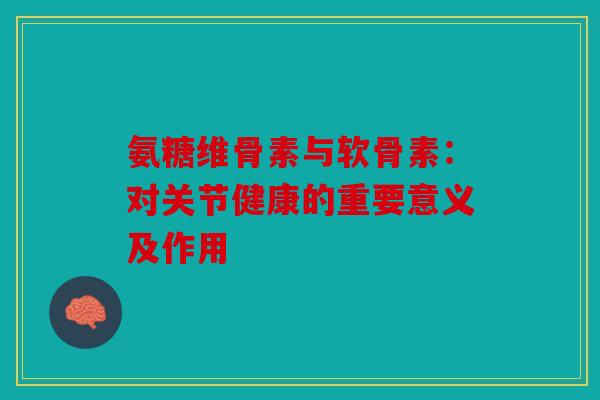 氨糖维骨素与软骨素：对关节健康的重要意义及作用