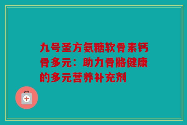 九号圣方氨糖软骨素钙骨多元：助力骨骼健康的多元营养补充剂