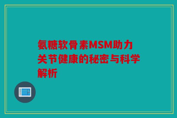 氨糖软骨素MSM助力关节健康的秘密与科学解析