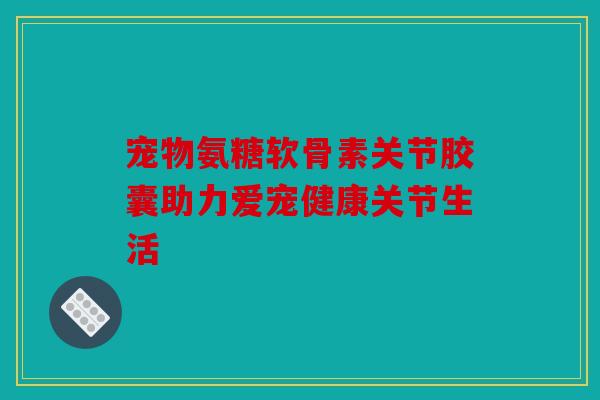 宠物氨糖软骨素关节胶囊助力爱宠健康关节生活