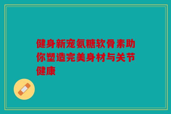 健身新宠氨糖软骨素助你塑造完美身材与关节健康