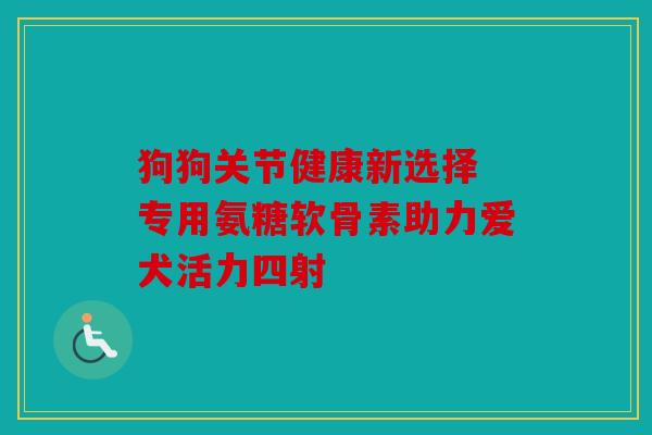 狗狗关节健康新选择 专用氨糖软骨素助力爱犬活力四射