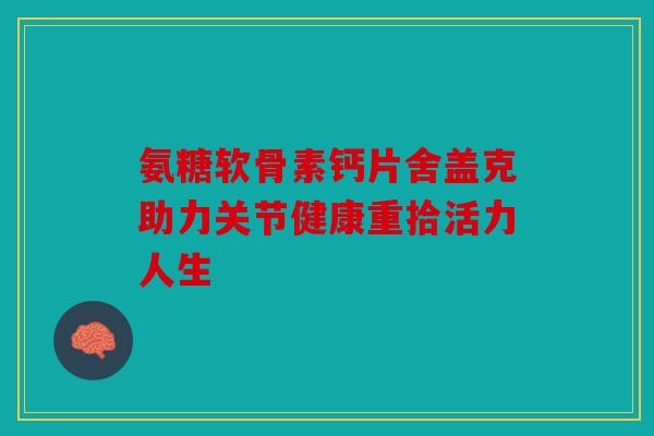 氨糖软骨素钙片舍盖克助力关节健康重拾活力人生