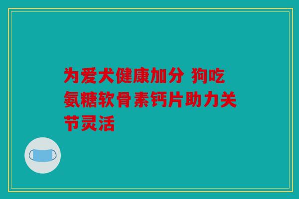 为爱犬健康加分 狗吃氨糖软骨素钙片助力关节灵活