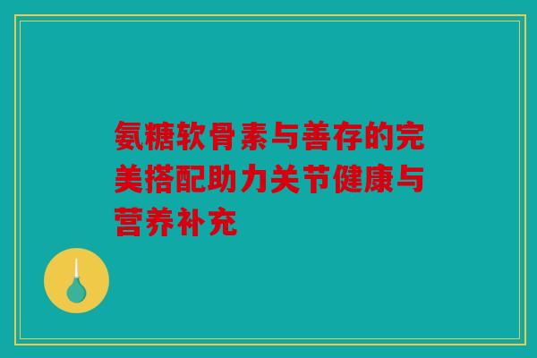 氨糖软骨素与善存的完美搭配助力关节健康与营养补充