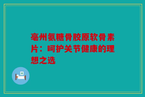 亳州氨糖骨胶原软骨素片：呵护关节健康的理想之选